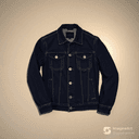 Slim Fit Denim Jacket